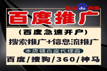 SEM推广代运营案例深度剖析